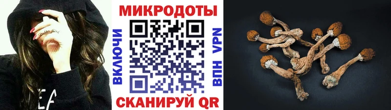Псилоцибиновые грибы ЛСД Нефтекумск