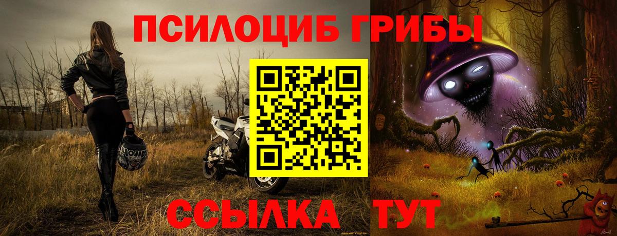 Псилоцибиновые грибы ЛСД  Вход с VPN  Нефтекумск  Галлюциногенные грибы MAGIC MUSHROOMS 